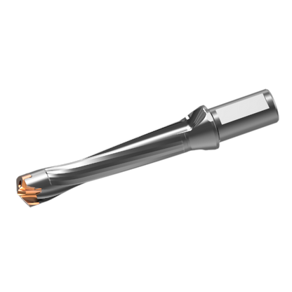DXAS3000X5F3175